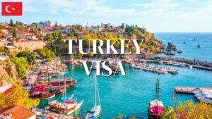 Read more about the article Turkey Visa